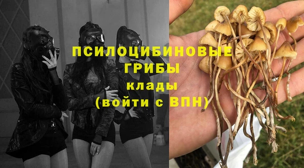 стафф Абдулино