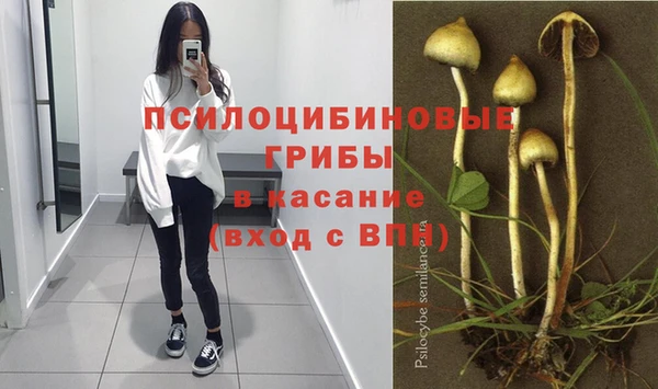 стафф Абдулино