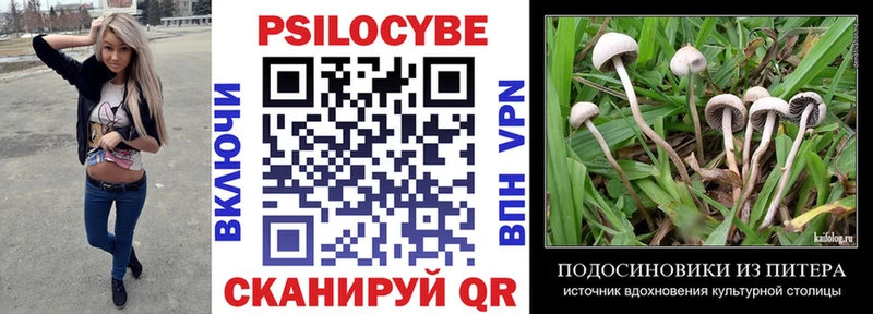 что такое наркотик  кракен вход  Галлюциногенные грибы Cubensis  сайты даркнета Telegram  Северодвинск 