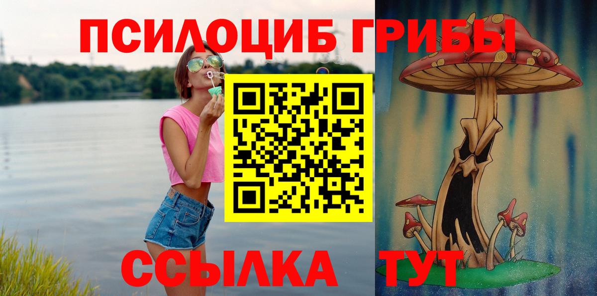 Галлюциногенные грибы Magic Shrooms Северодвинск