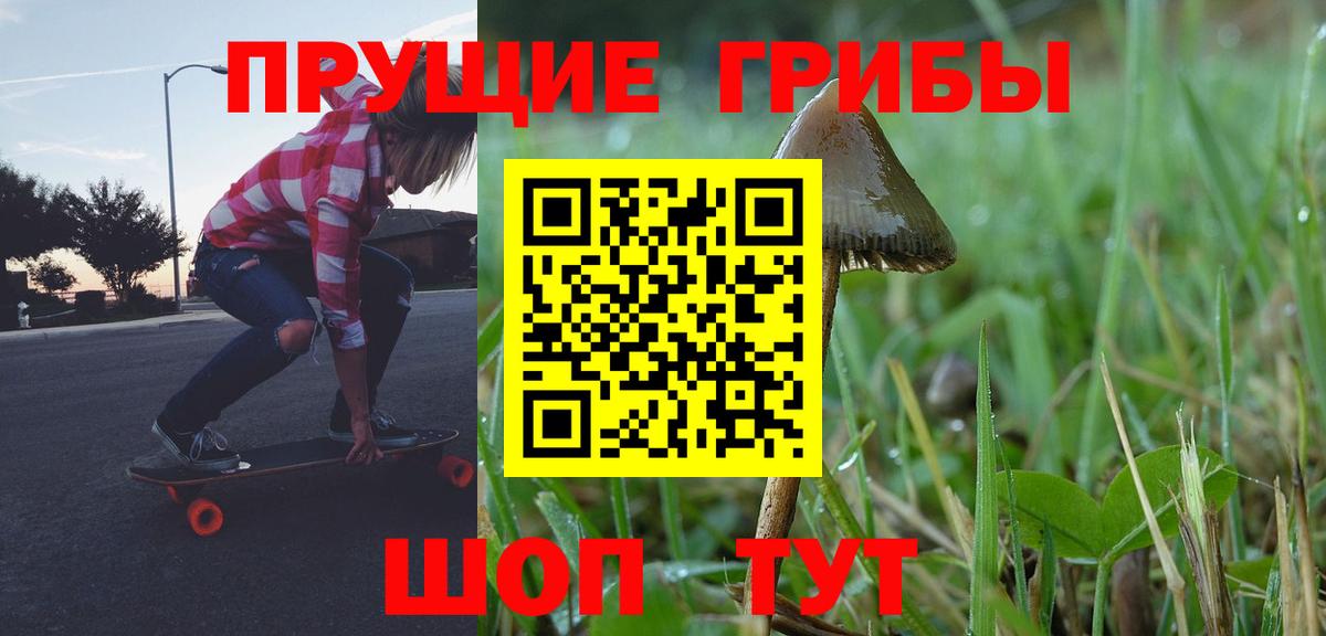 Псилоцибиновые грибы мицелий  Галлюциногенные грибы Psilocybine cubensis  Вход с VPN  Северодвинск 